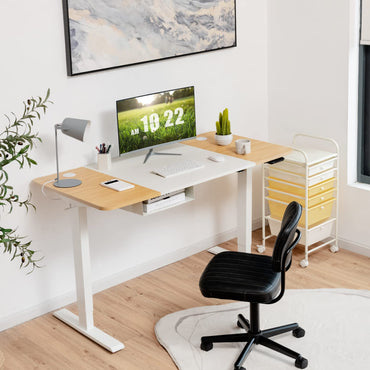 55"x 28" Height Adjustable Electric Standing Desk, Sit Stand Desk w/Control Panel & USB Port