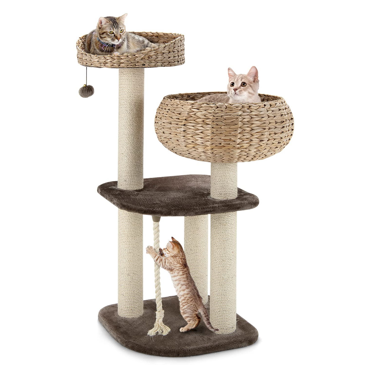 Cat Tree