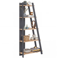 Tangkuka 4/5-Tier Ladder Bookshelf for Living Room