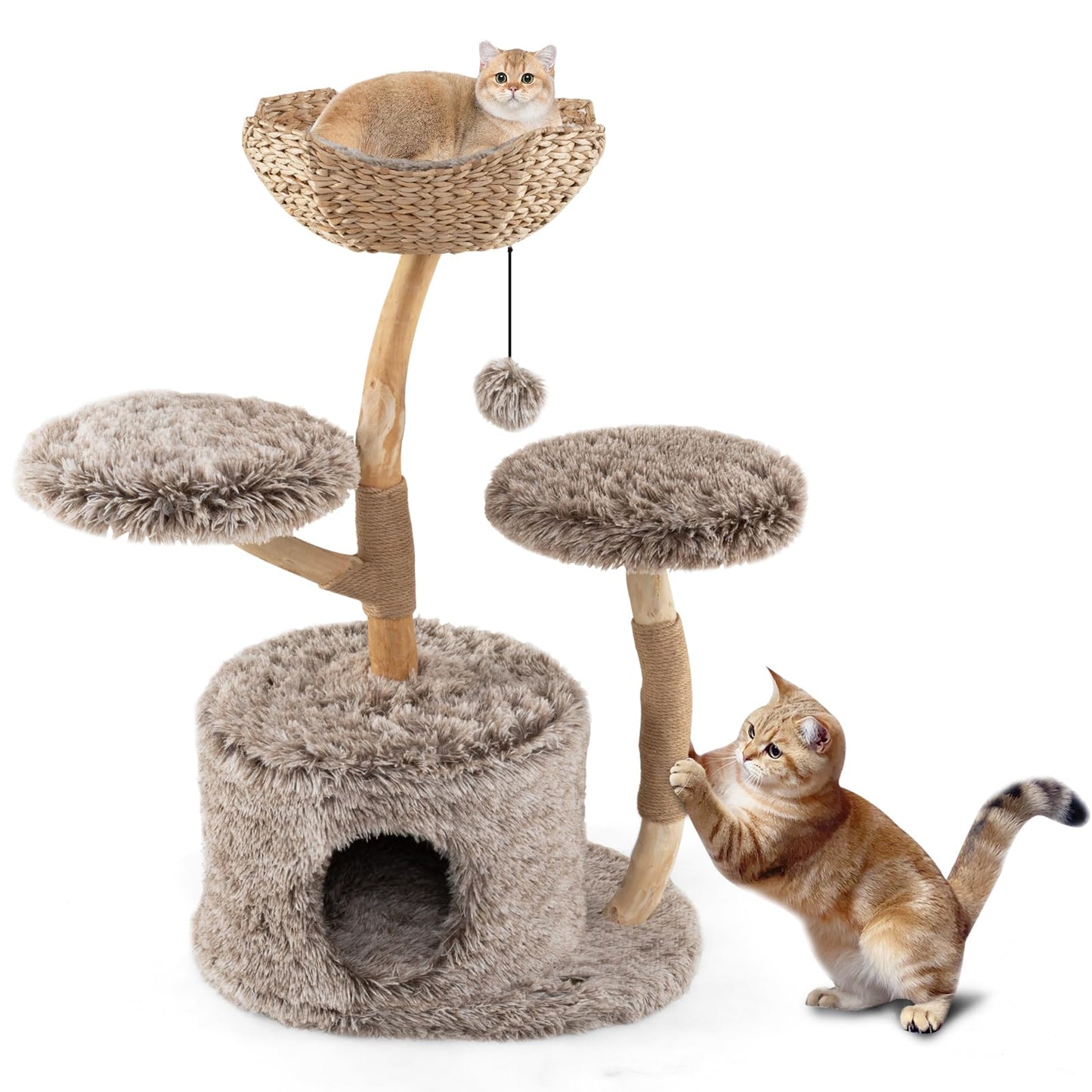 Arbre à chat Tangkula en bois massif pour chatons d'intérieur