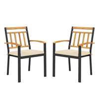 Tangkula Patio Dining Chairs Set of 2/4 Metal Outdoor Chairs