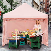 Tangkula 10x10ft Ez Pop up Canopy Tent, Commercial Instant Canopy with 8 Removable Zippered Sidewalls & Extended Awning