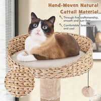 Arbre à chat moderne Tangkula, tour à chat de 65 pouces avec poteaux à griffer en jute