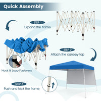 Tangkula 10x10 FT Pop Up Canopy with Sidewall
