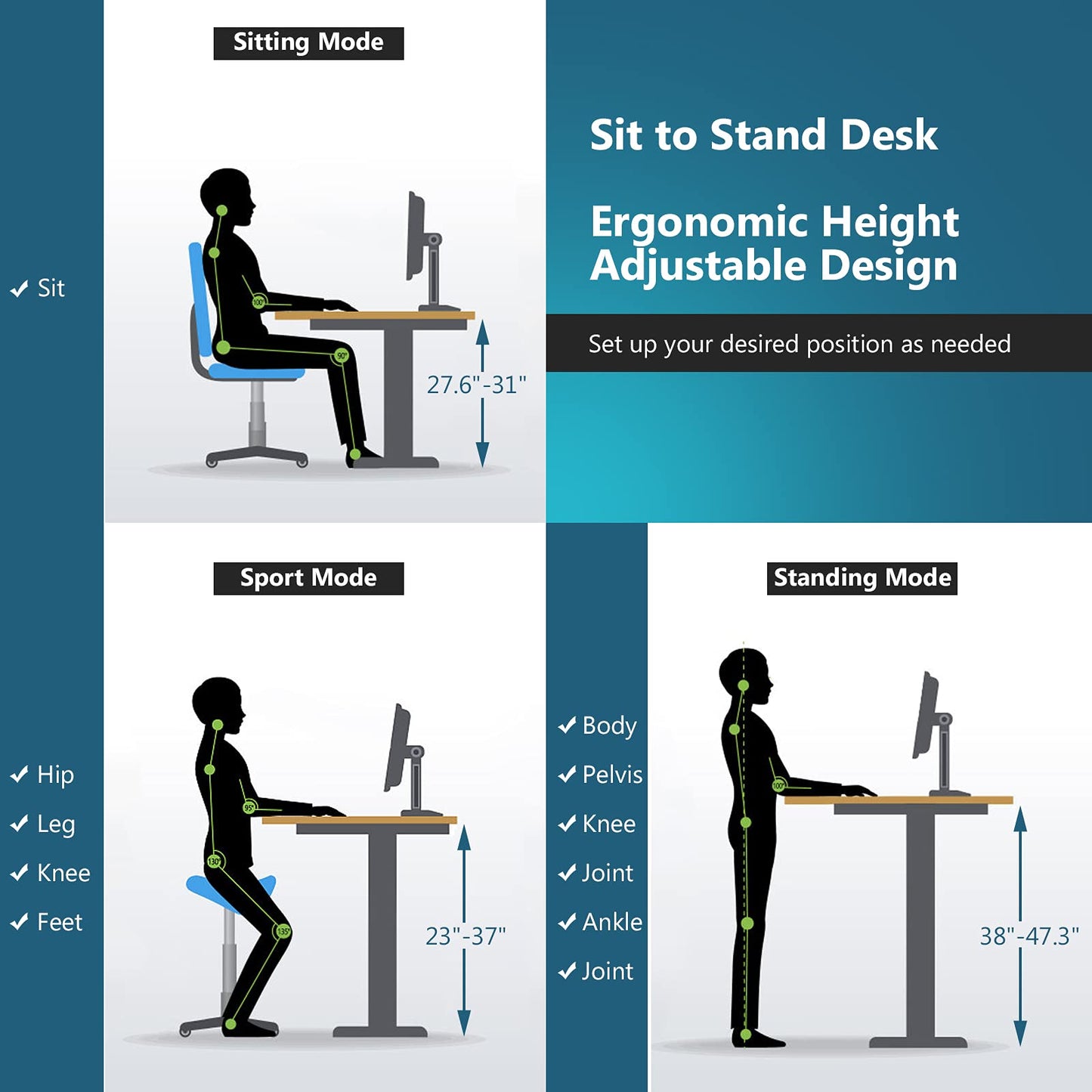 Tangkula Dual Motor Electric Standing Desk with Memory Controller & 2 Cable Holes