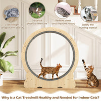 Tangkula Cat Wheel for Indoor Cats for Kitty Fitness