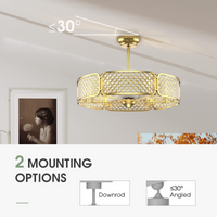 Tangkula Caged Ceiling Fan with Light
