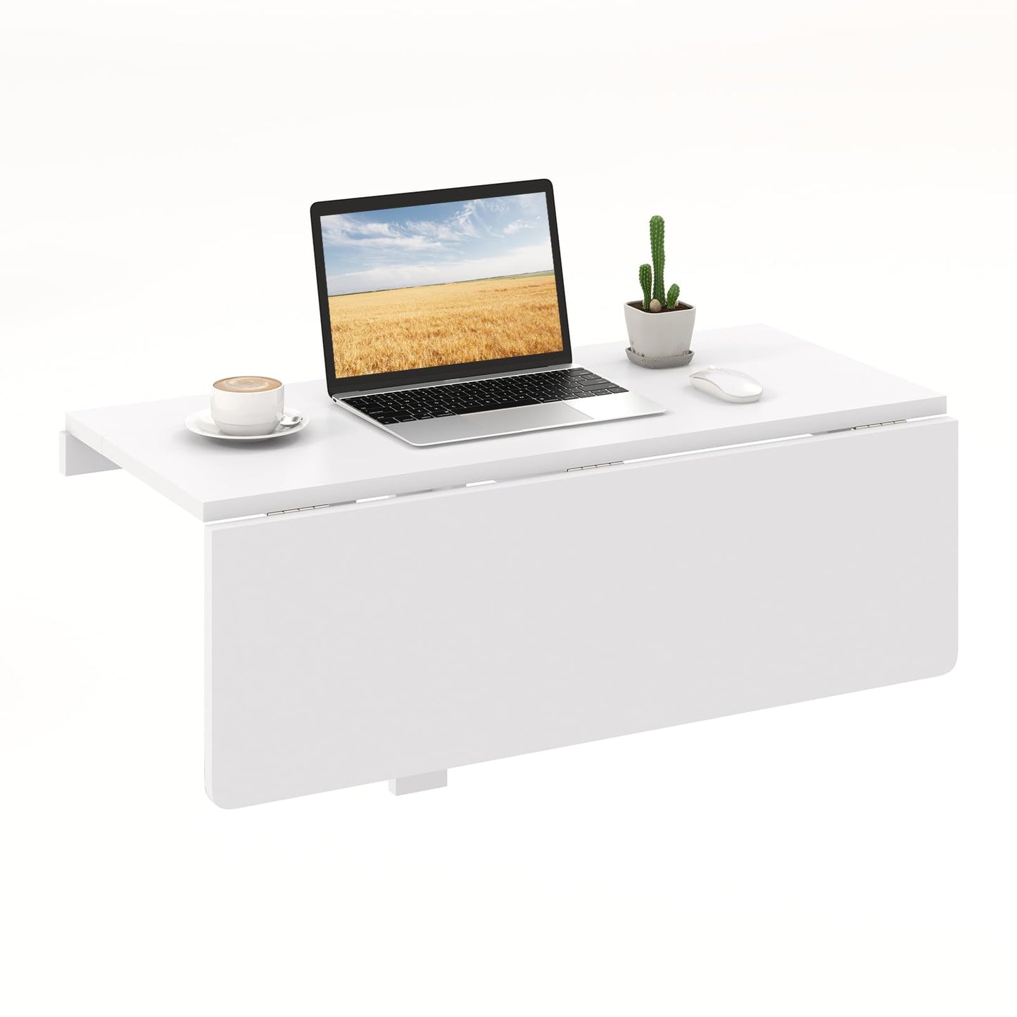 TANGKULA Wall Mounted Floating Desk for Study